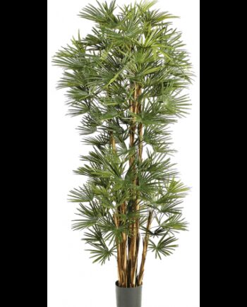 Kunstigt Baby Fan Træ H210