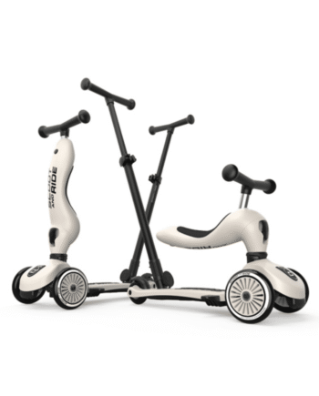 Hyr Scoot And Ride Highwaykick Push And Ash