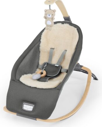 Ingenuity Every Season Rocking Seat Wesley Flerfarvet