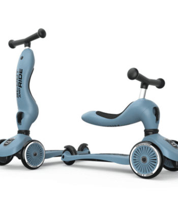Scoot And Ride Highwaykick Steel