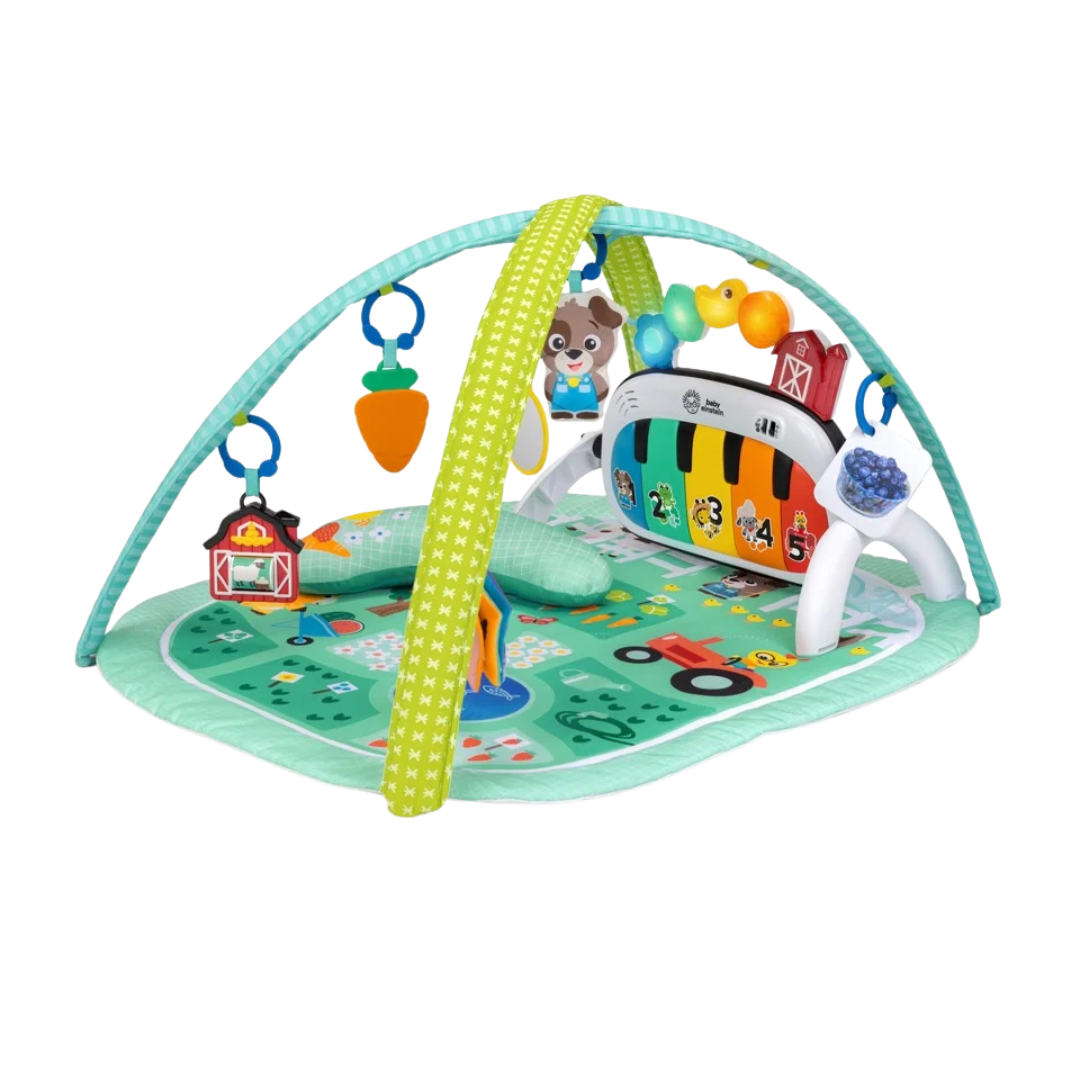Baby Einstein Musical Meadow Aktivitetstæppe Med Musik